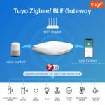 Avatto Tuya Gw16 Gateway Zigbee Bluetooth Wireless Lan 04 - AVATTO