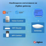 Smartdeal Bg Avatto Wsm16 Zwsm16 Ac Dc Dry Contact Module 1gang Zigbee - AVATTO