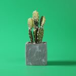 Pvc Background 60cm And 80cm Matte Effect Photography Studio Accessories Waterproof 13 - Мобилна Фотография